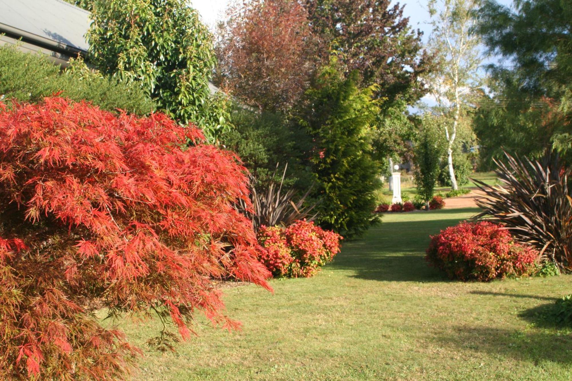 Delderfield Villas Marysville Exteriör bild